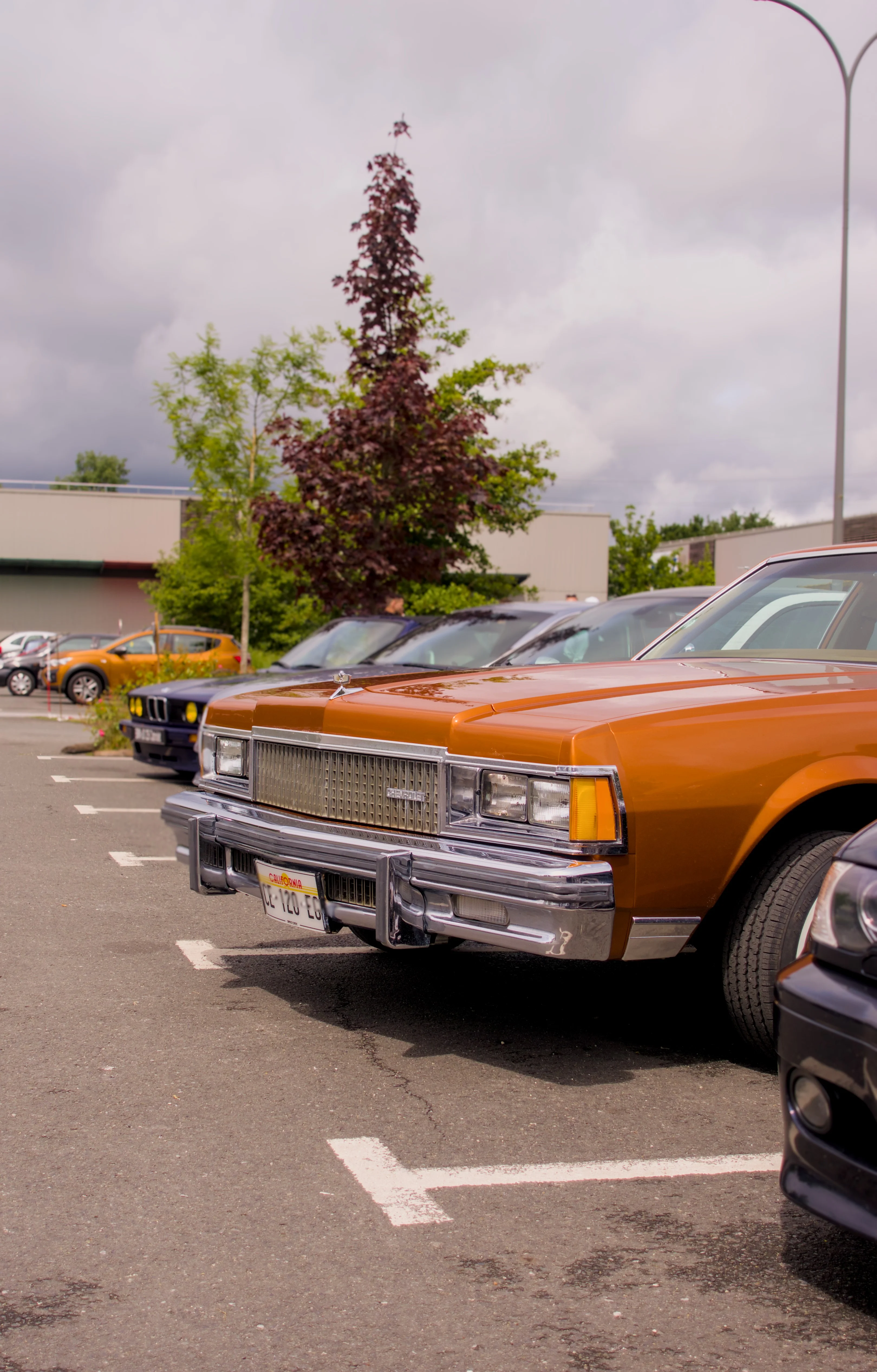 Low Rider #7